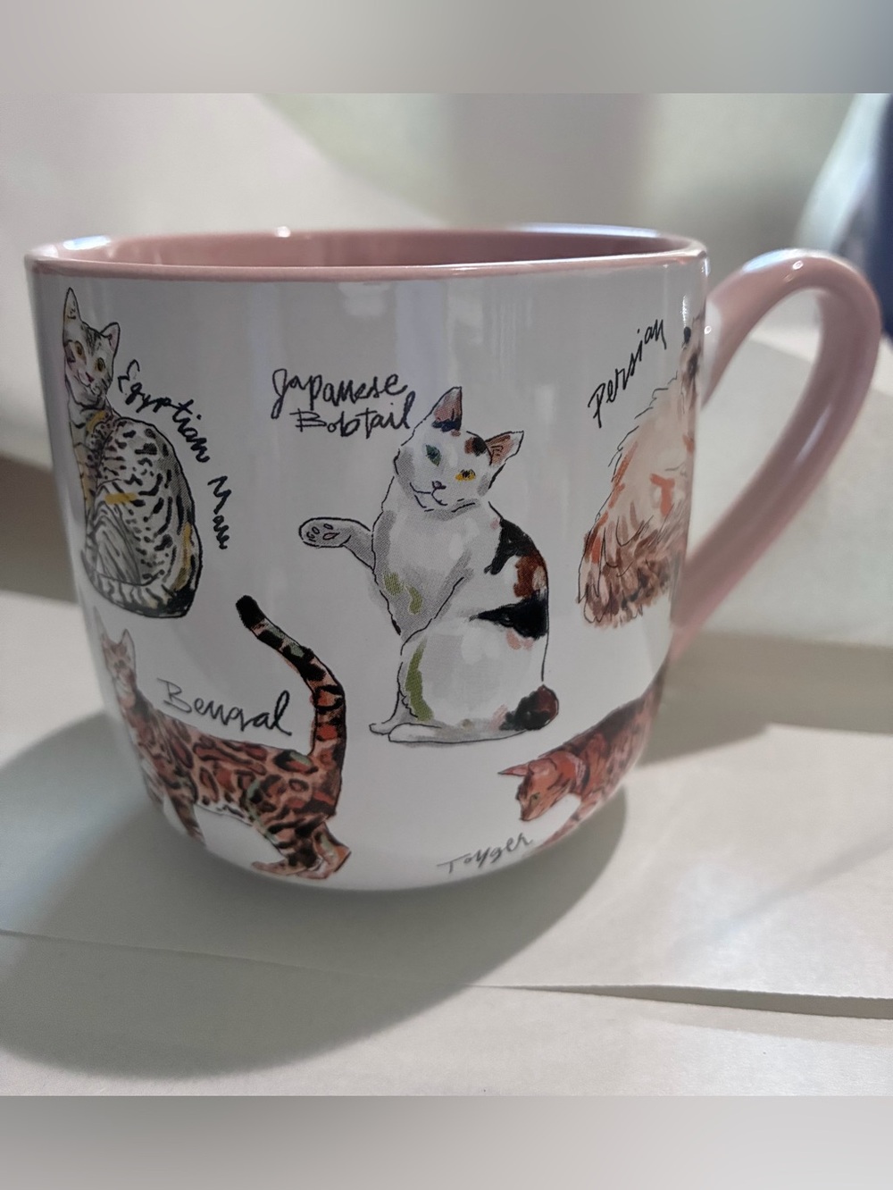 Anthropologie A-Z Cat Mug, Pink Inside & Handle. Breed Names Written NWOT.